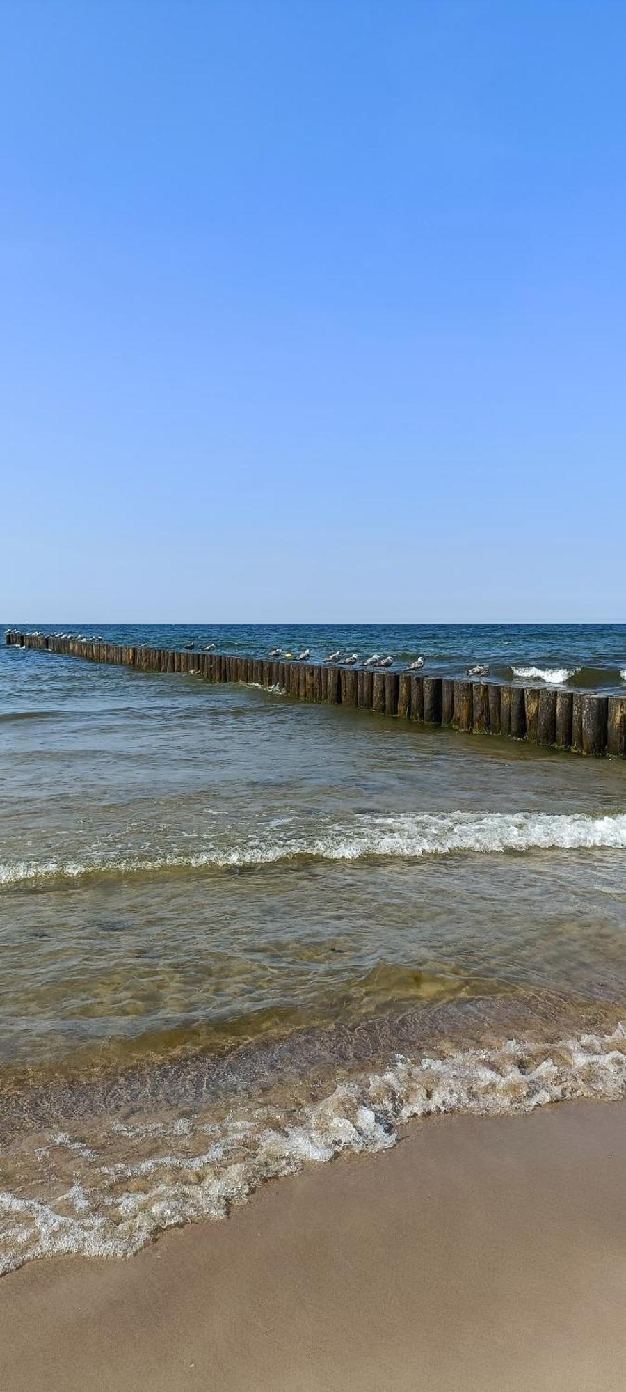 Na Zaciszu Villa Dziwnowek Bagian luar foto