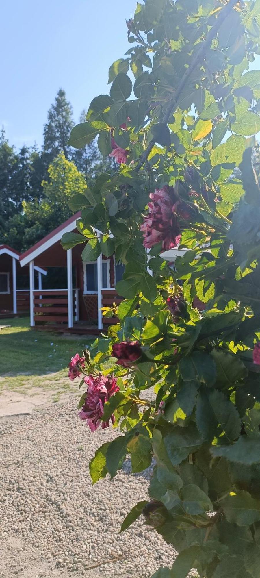 Na Zaciszu Villa Dziwnowek Bagian luar foto